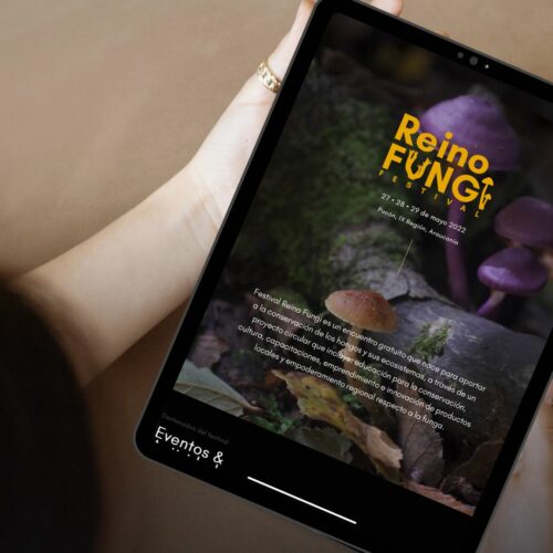 Festival Reino Fungi